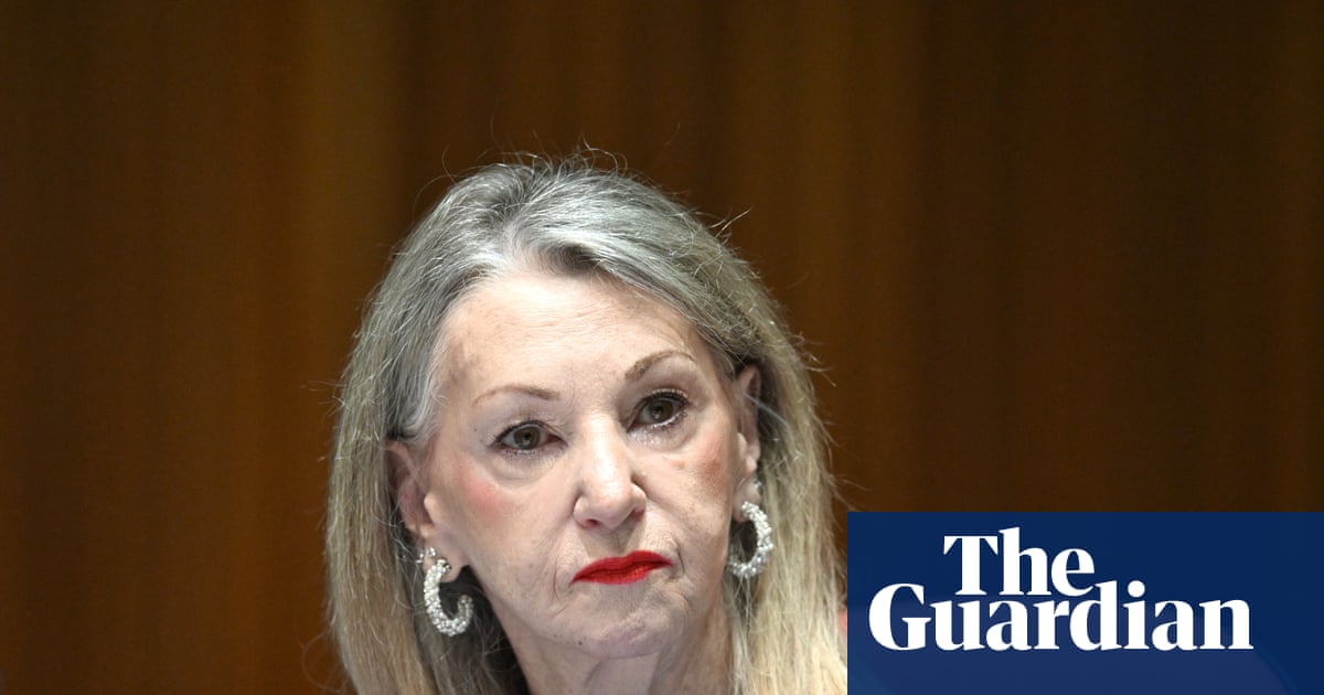 Labor senator deletes Anzac Day video after mistakenly including raunchy rap song in Instagram post