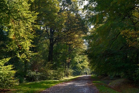 A path through a forest in France.