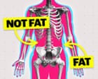Ive lost my butt: how rapid weight loss can leave you with less muscle and more fat GLP-1 drugs such as Mounjaro are helping millions of people rapidly lose weight. But the changes happening inside the body go far beyond the number on the scale.Neelam Tailor investigates the growing debate around the possible risks of rapid weight loss from jabs and yo-yo dieting, which include loss of lean mass and consequences in older age. Experts say the debate isnt just about weight-loss drugs, but about how modern dieting culture has shaped our bodies for decades Continue reading...