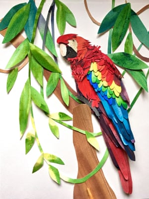 parrot paradise bird paper artwork by Sarah Suplina