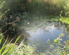 Country diary: A little love at Larkrise has worked wonders for wildlife | Virginia Spiers