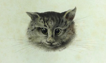 Fine drawing of a head of a cat against a pale green background