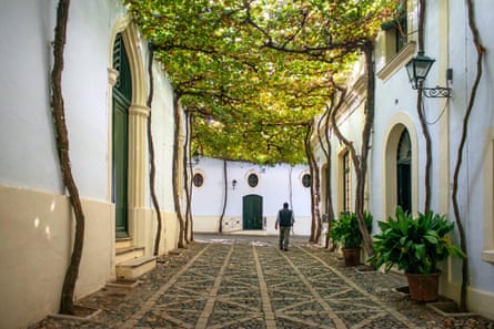 White buildings and streets covered with vine canopy.