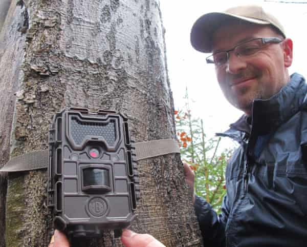 Robert Mysłajek fixes a motion-activated camera to a tree in Beskidy forest.