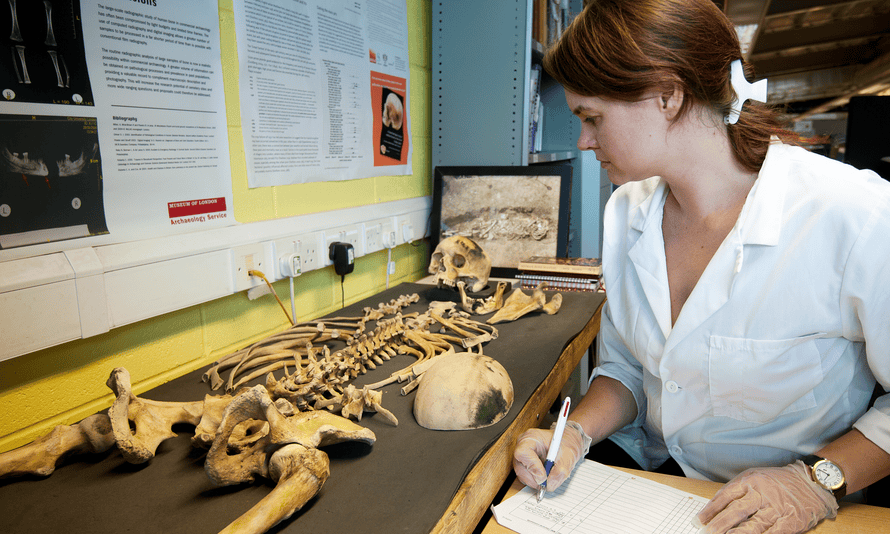 Osteologist from Mola Headland studies a skeleton excavated ahead of the HS2 construction.