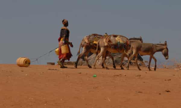 A woman in Korr, Marsabit county walks with her donkeys in search of water