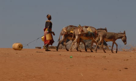 A woman in Korr, Marsabit county walks with her donkeys in search of water