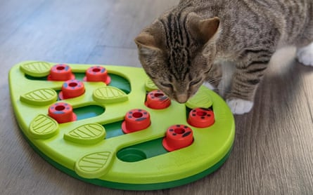Catstages Nina Ottosson Buggin' Out Puzzle & Play Comedero para gatos