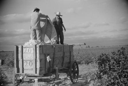 people pouring cotton out of a bag