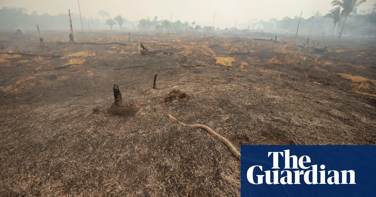 Drone footage reveals devastation from Amazon fires – video