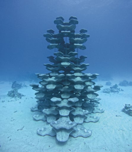 ‘Nature-based infrastructure’ … 3D-printed coral reefs.