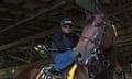 Breeder's Cup Workouts<br>LEXINGTON, KY - OCTOBER 28:  American Pharoah stops for pictures in the stable at Keeneland Racecourse during Breeder's Cup workouts on October 28, 2015 in Lexington, Kentucky. (Photo by Dylan Buell/Getty Images)