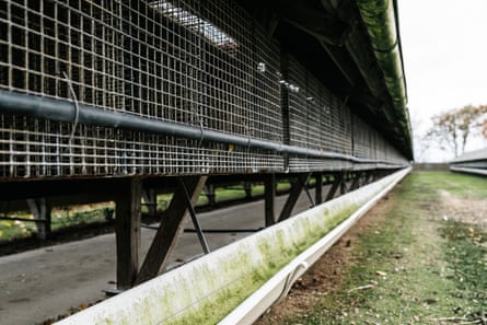 Cages on Martin Merrild’s farm in Hjerm, Denmark.