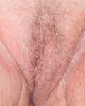Close-up of a vulva
