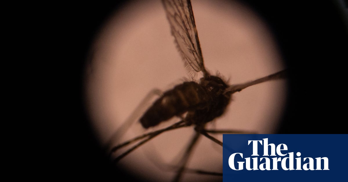 WHO endorses use of worlds first malaria vaccine in Africa  | Global development | The Guardian