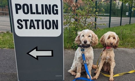 A photo taken with permission from the Twitter account of @darrennisbetts of his cockapoos, Harvey and Luna, outside a polling station in Bracknell, Berkshire.