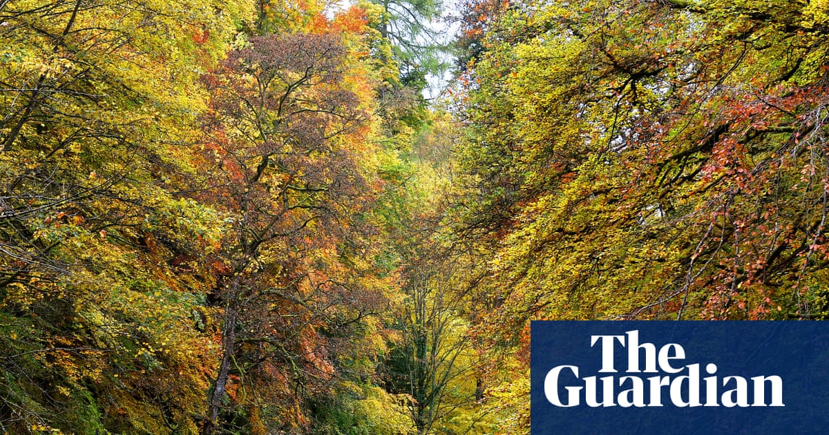 ‘It’s like striding across the top of the world’: the Pennines’ new Roof of England walk