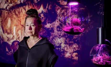 Post-internet artist Hito Steyerl on refusing honours, buying her