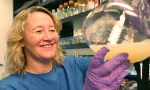 Carol Greider, who won a 2009 Nobel Prize for her pioneering research into the structure of chromosome ends, known as telomeres, is one of the signatories of this week’s open letter to president-elect Trump.