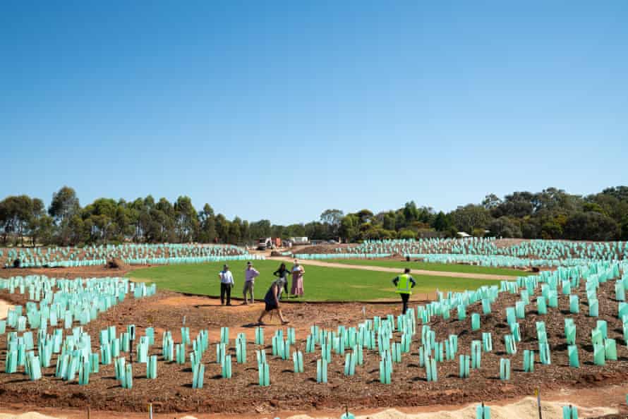 The burial ground at Smithfield Memorial Park has been landscaped with native plants and a ceremonial grassed area shaped like a Kaurna shield.