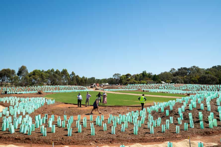 TravelGuides - ‘It brings dignity to every one of them’: inside the reburial of Indigenous bones and restless spirits | Indigenous Australians 3 The burial ground at Smithfield Memorial Park has been landscaped with native plants and a ceremonial grassed area shaped like a Kaurna shield.