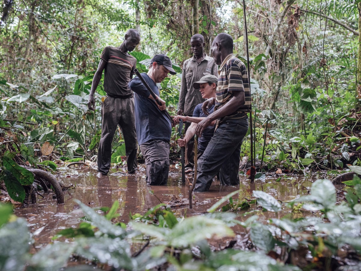 The Congo Basin is under threat - here's why we need to act now