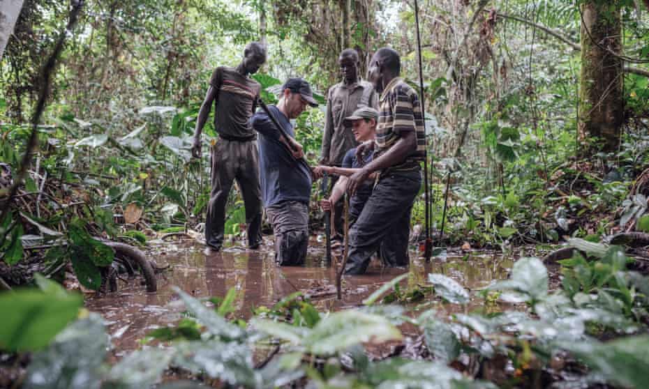 Congo Basin experts from the UK and DRC take samples from the peatland. 