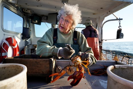 lobster lady dress code Lobster Harbor Dress Kiel James Patrick