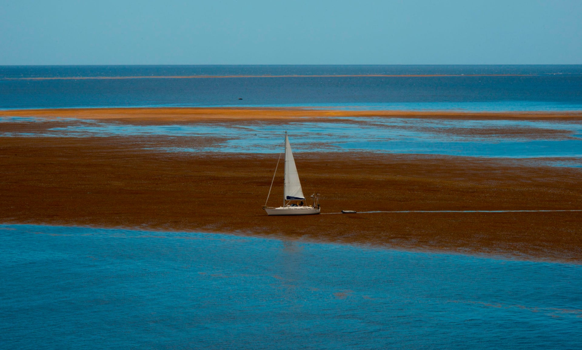 Wide Sargasso Sea. Great atlantic