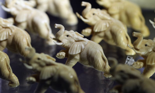 Elephants carved from illegal ivory