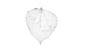 Silver leaf pendant, £35nhmshop.co.uk