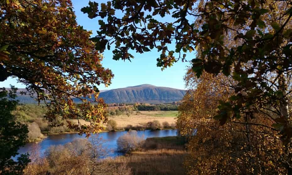 Autumnal colour along the River Spey
