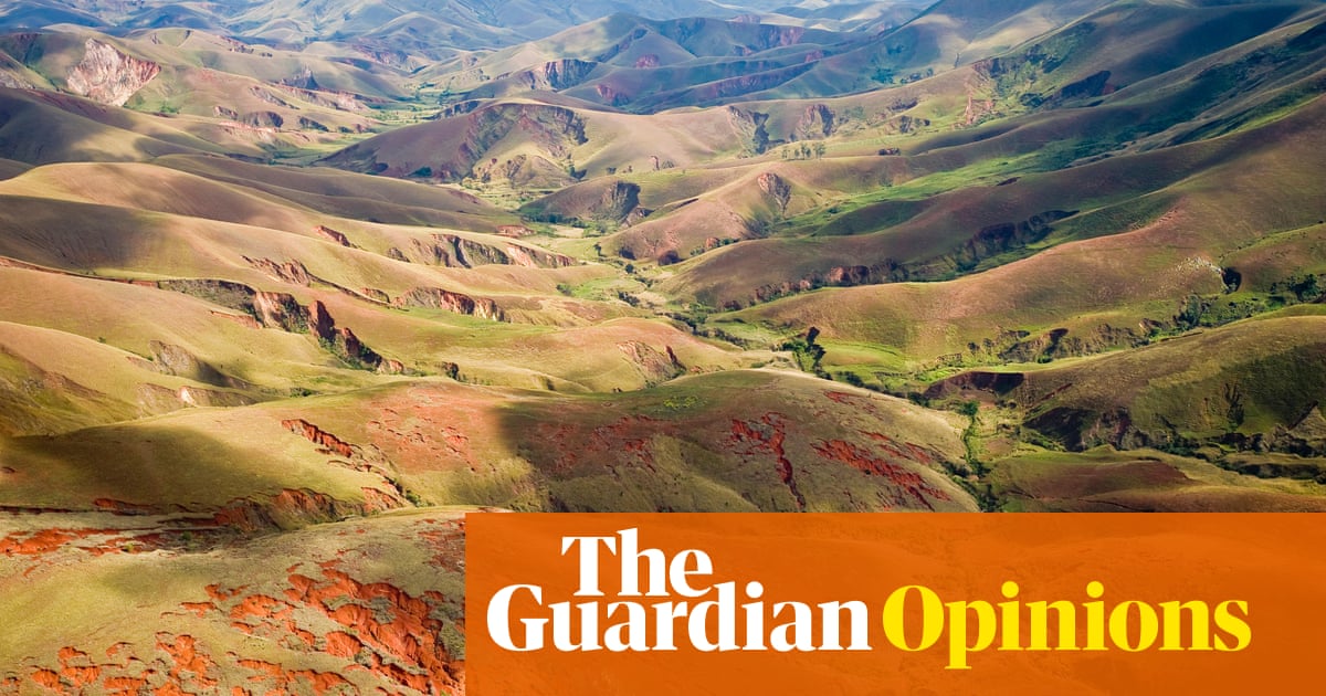 AI-Enhanced Drone Technology Aids Conservation Efforts
