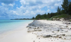 A beach in the Bahamas