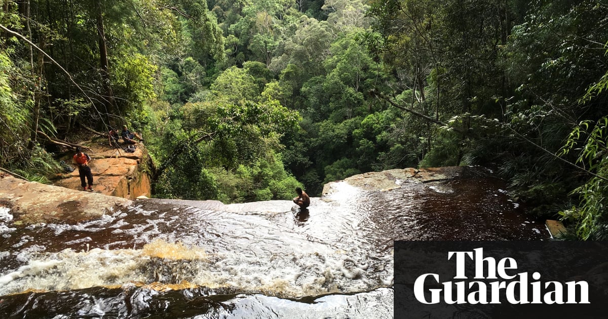 New beetle species named after Leonardo DiCaprio | Science | The Guardian