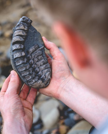 Hands holding a fist-sized black stone with 19 vertebrae