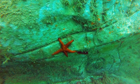 starfish on a sculpture
