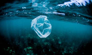 A plastic bag floats in waters off the coast of Costa Rica