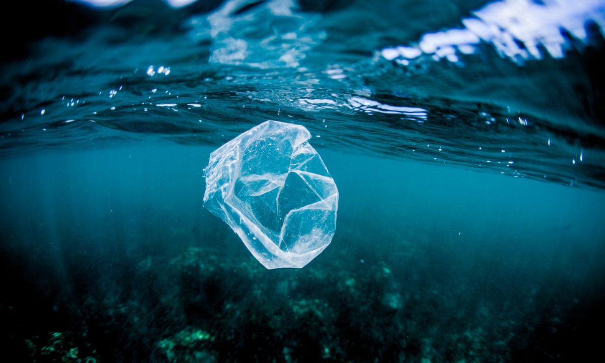World's deepest waters becoming 'ultimate sink' for plastic waste | Plastics | The Guardian