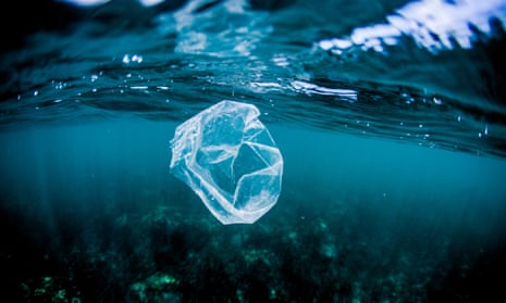 A plastic bag floats over a reef in the ocean