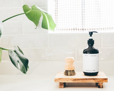 Ecologically friendly brushes and soap.