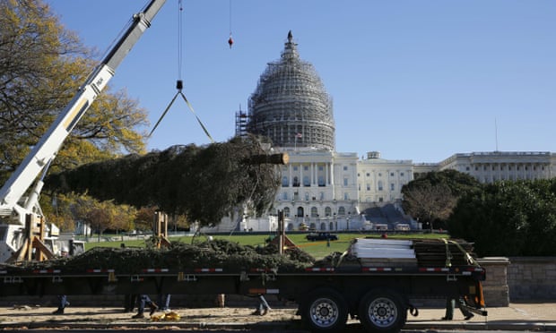 The US Capitol Christmas tree is unloaded in Washington DC on Friday
