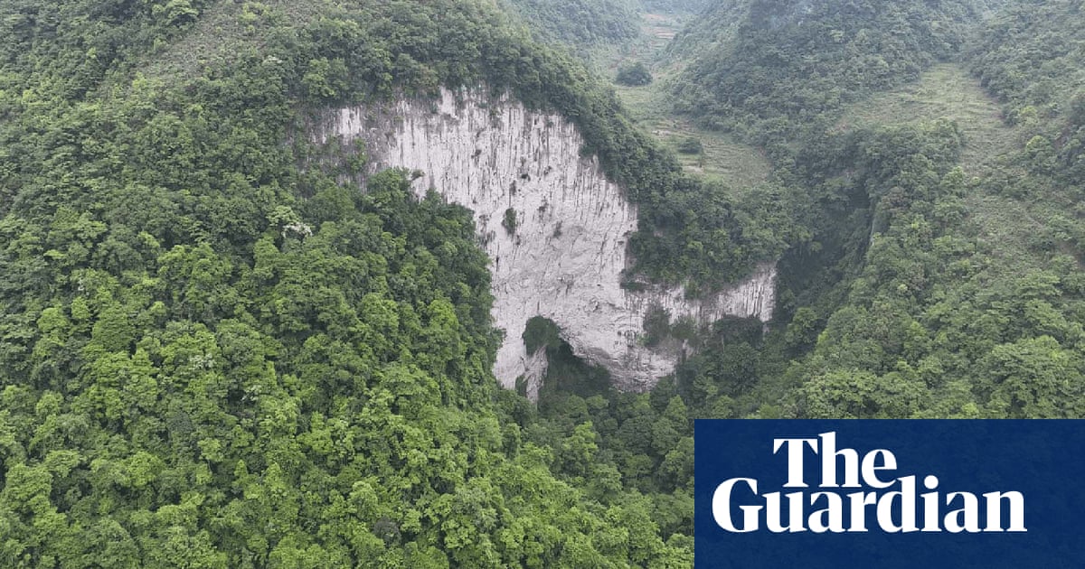 Ancient forest found at bottom of huge sinkhole in China
