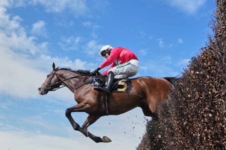 Mirabad ridden by Tristan Durrell clears a fence on the way to winning the Maghull Novices' Chase.