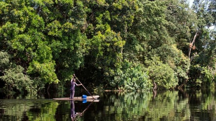 A person on a standing pedal boat with trees in the background