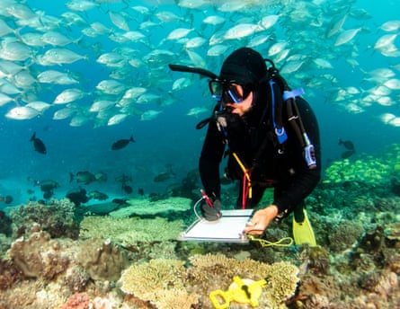 A volunteer takes notes as part of a study of marine life on coral reefs in Australia.