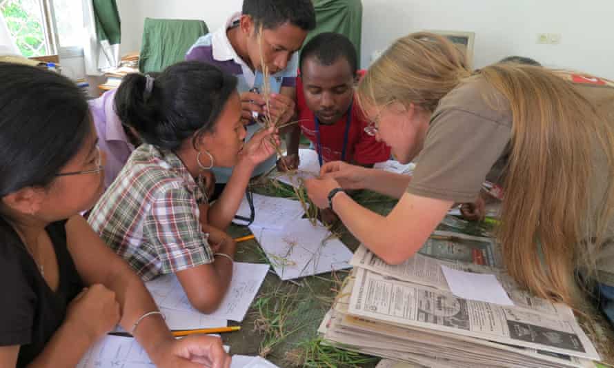 Kew staff help with identifying grasses at a training workshop in Madagascar.