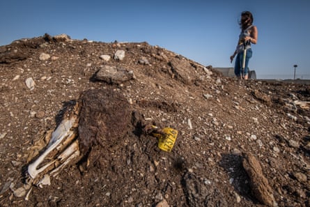 A quarantine dump site in Israel