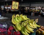 Tricky time for lunchboxes: banana shortage hits supermarket shelves after cool weather in Queensland