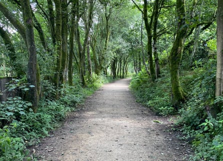 The Delph Donkey, a flat, tree-lined pathway